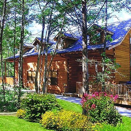 Cabins At Grand Mountain By Thousand Hills Resort Брэнсон Экстерьер фото
