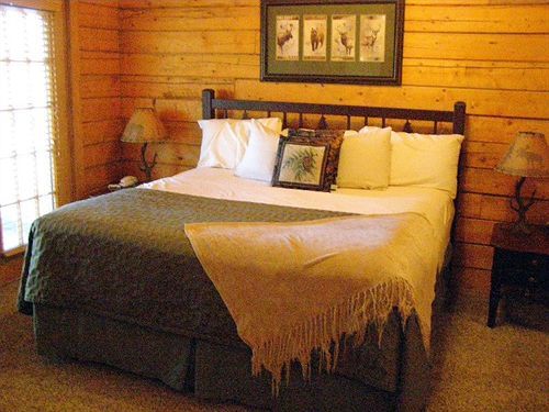 Cabins At Grand Mountain By Thousand Hills Resort Брэнсон Экстерьер фото